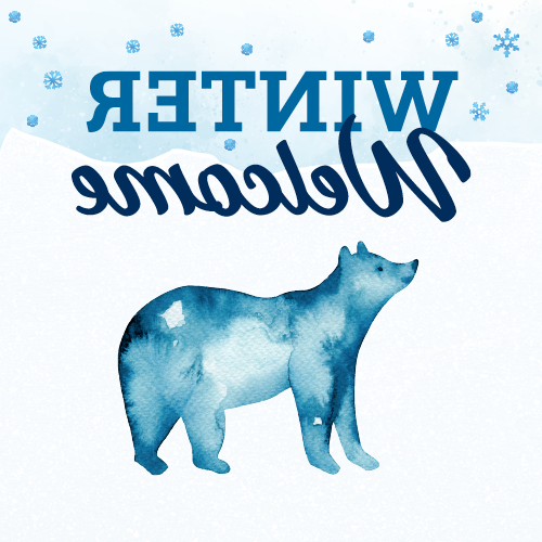 Graphic with Winter Welcome written in blue with a watercolor bear underneath it.